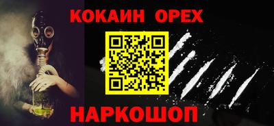 СК Новодвинск