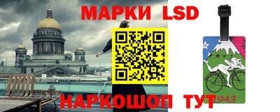СК Новодвинск
