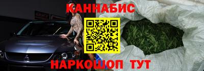 СК Новодвинск