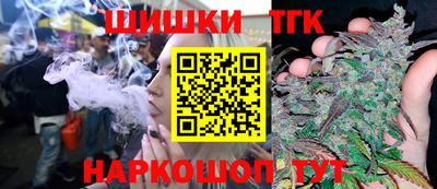 СК Новодвинск