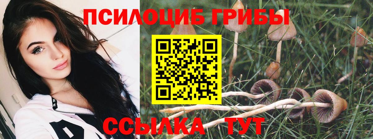Сургут  Псилоцибиновые грибы мицелий  Вход с VPN  Псилоцибиновые грибы GOLDEN TEACHER 